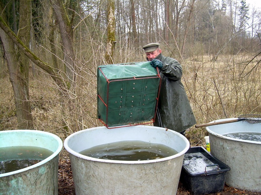 Malikovska 26.3.2011.