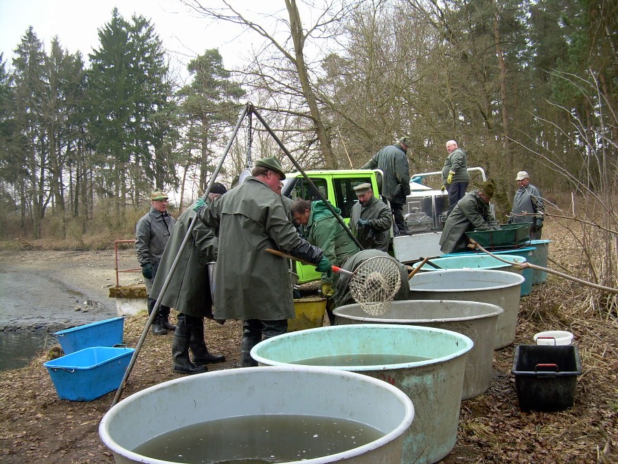 Malikovska 26.3.2011.