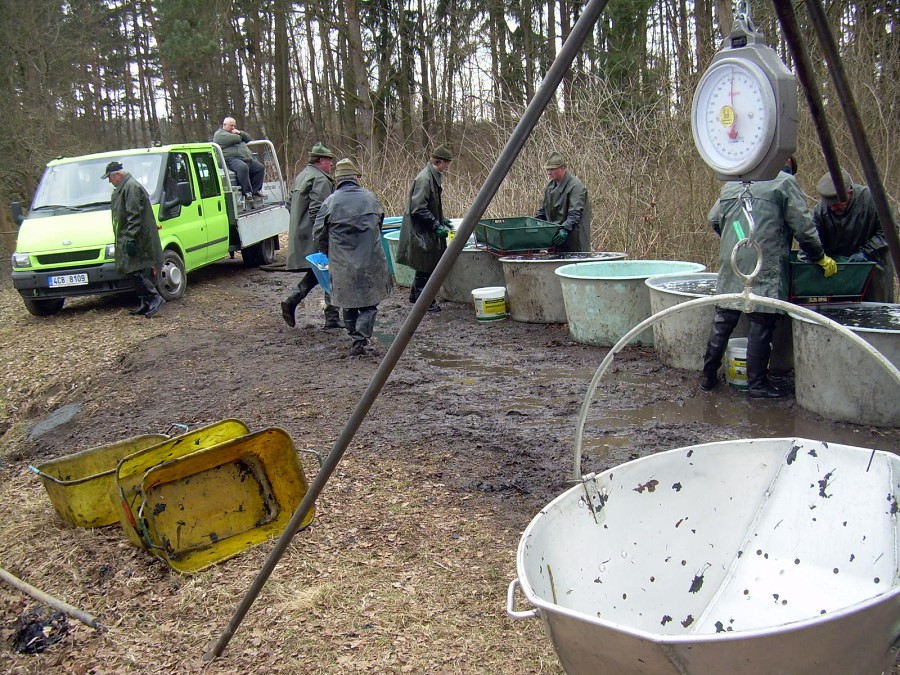 Malikovska 26.3.2011.