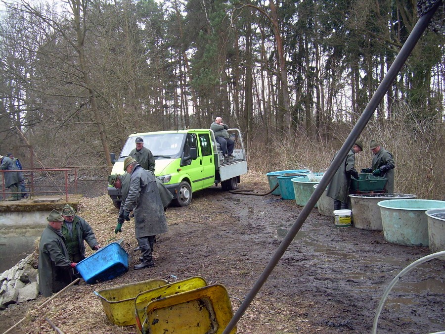 Malikovska 26.3.2011.