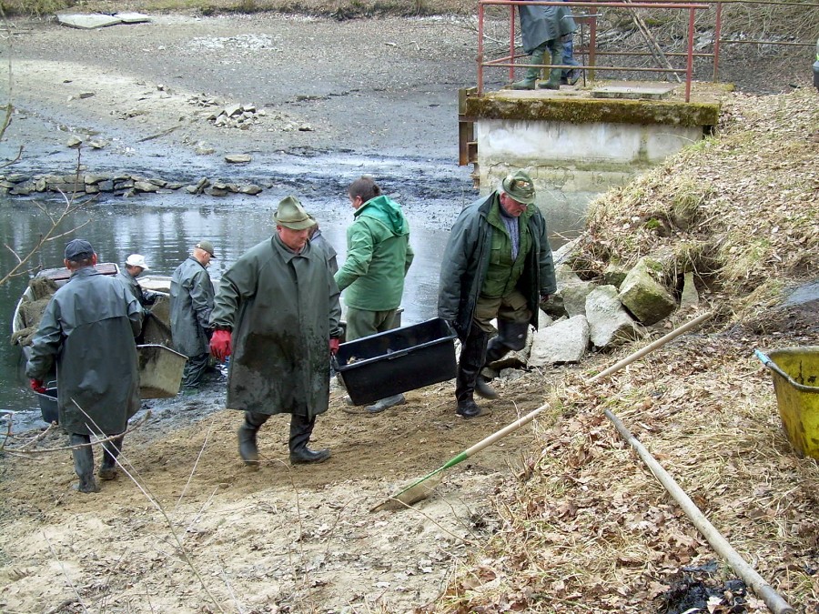 Malikovska 26.3.2011.