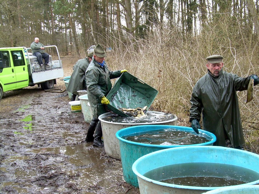 Malikovska 26.3.2011.