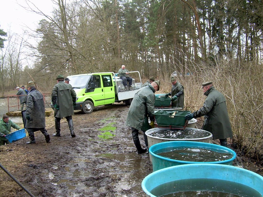 Malikovska 26.3.2011.
