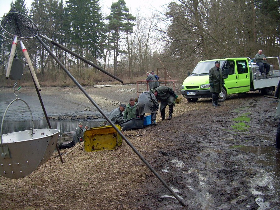 Malikovska 26.3.2011.