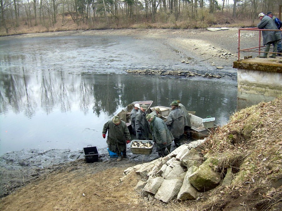 Malikovska 26.3.2011.