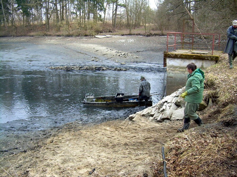 Malikovska 26.3.2011.