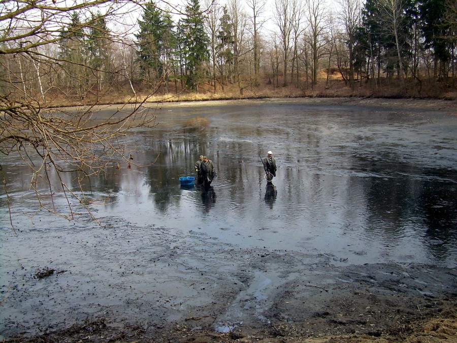 Malikovska 26.3.2011.
