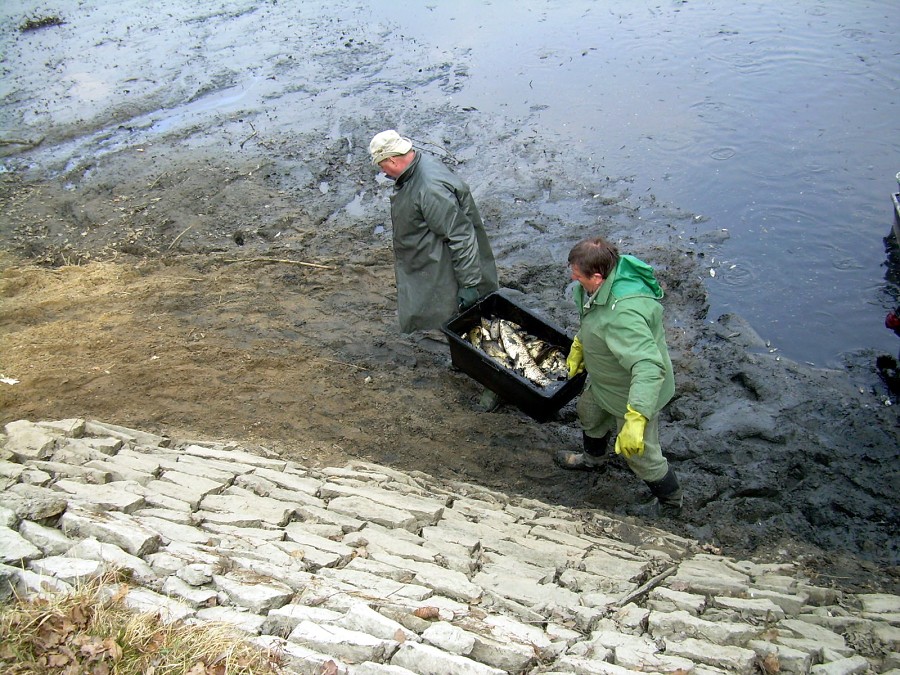 Malikovska 26.3.2011.