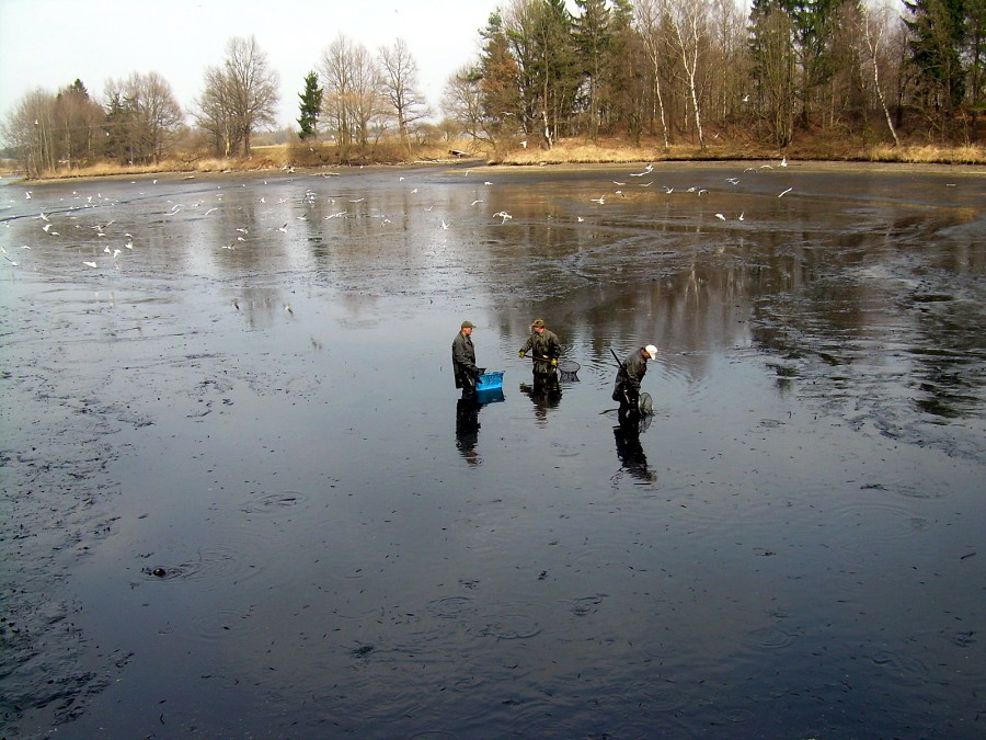Malikovska 26.3.2011.