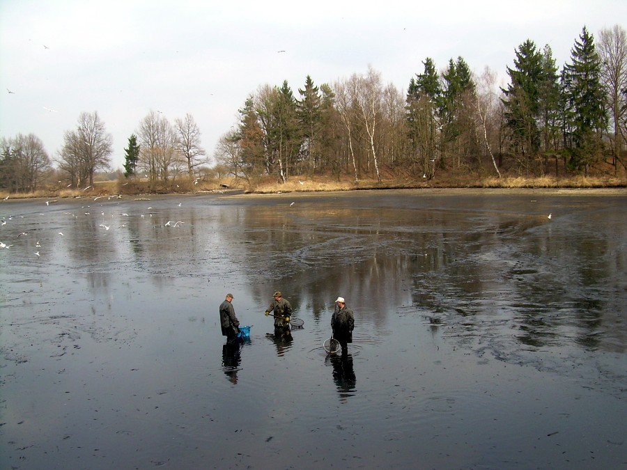 Malikovska 26.3.2011.