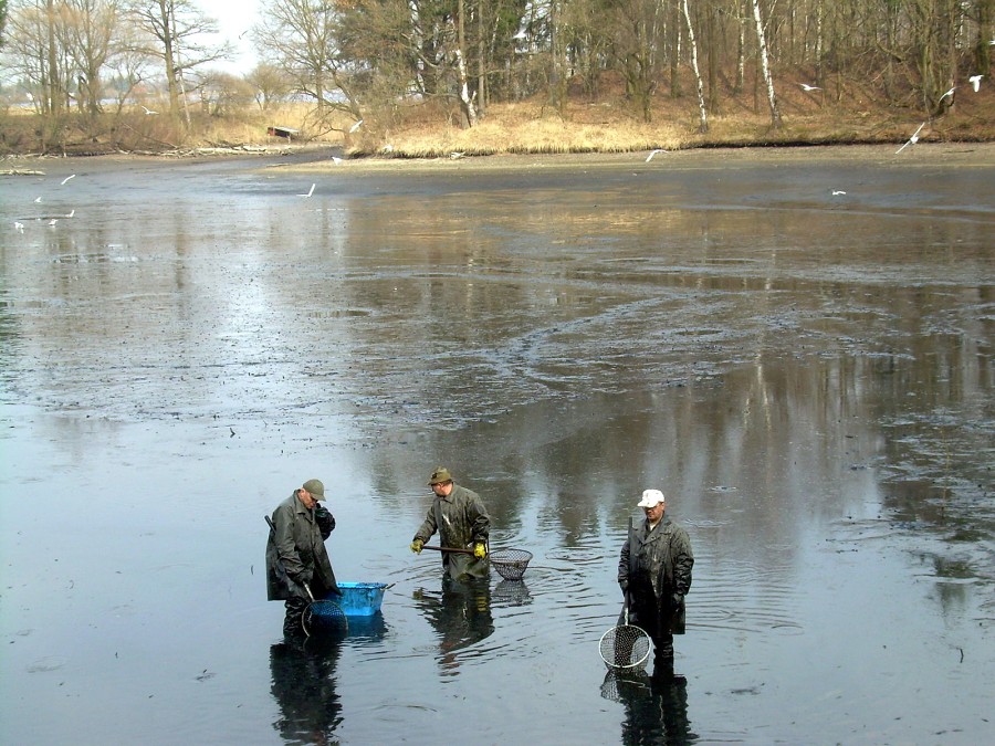 Malikovska 26.3.2011.
