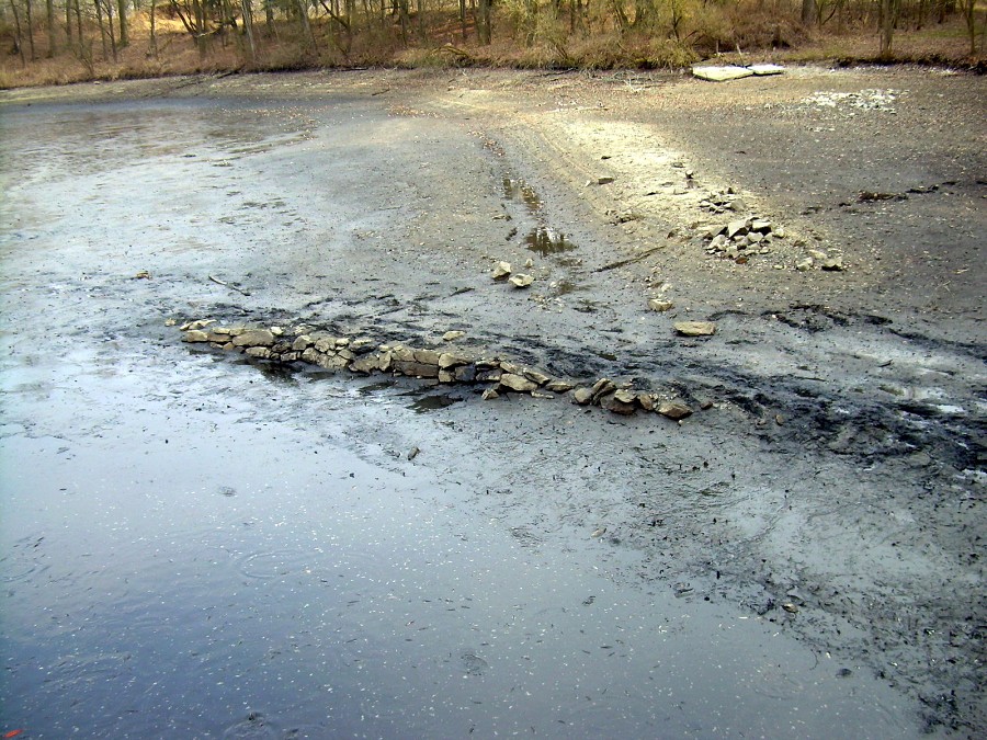 Malikovska 26.3.2011.