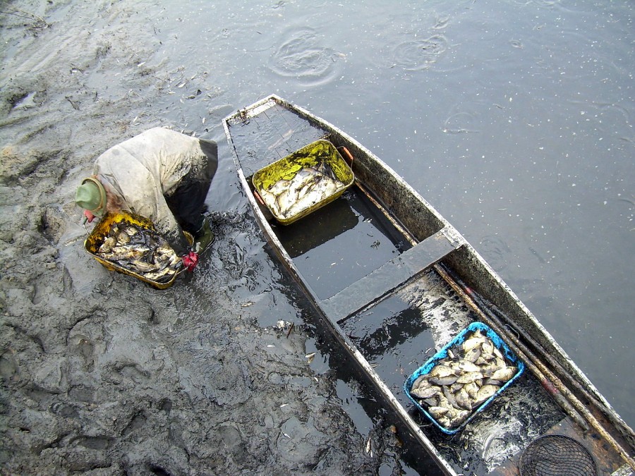 Malikovska 26.3.2011.