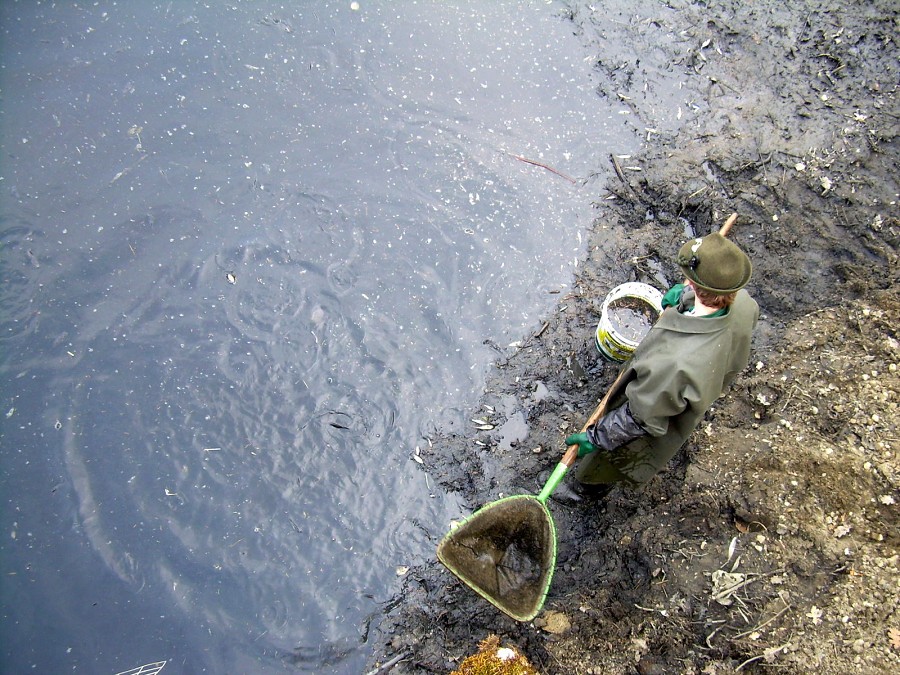 Malikovska 26.3.2011.