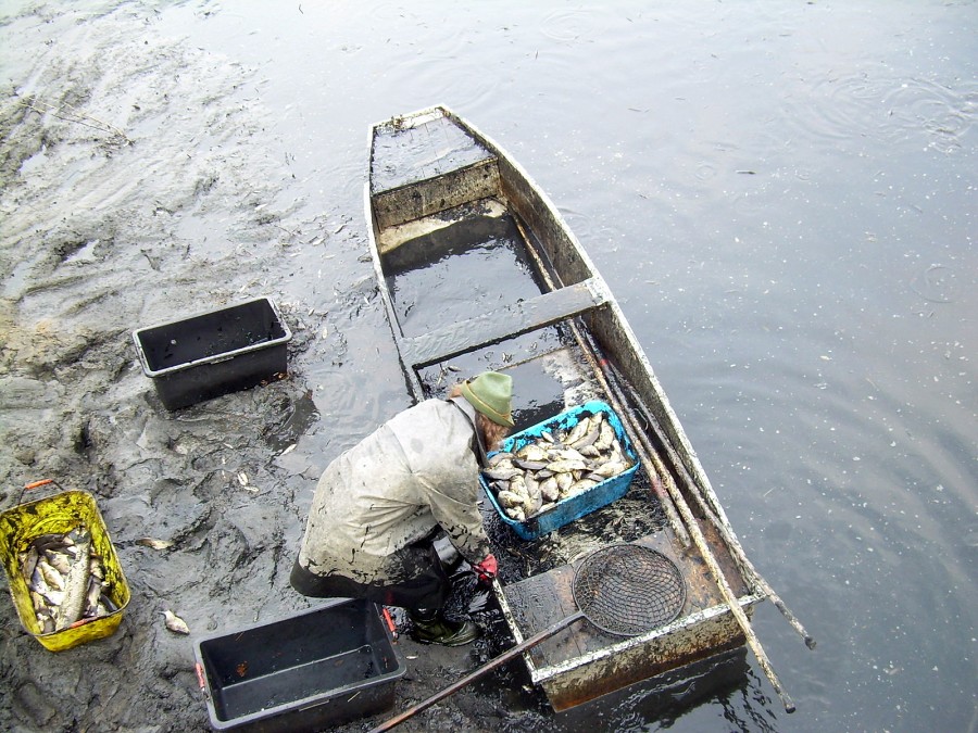 Malikovska 26.3.2011.