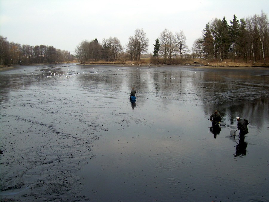 Malikovska 26.3.2011.