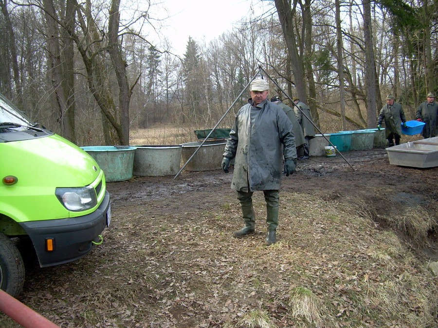 Malikovska 26.3.2011.