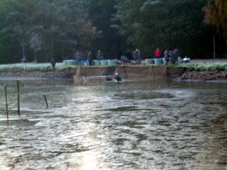 Voborsky 22.10.2011.