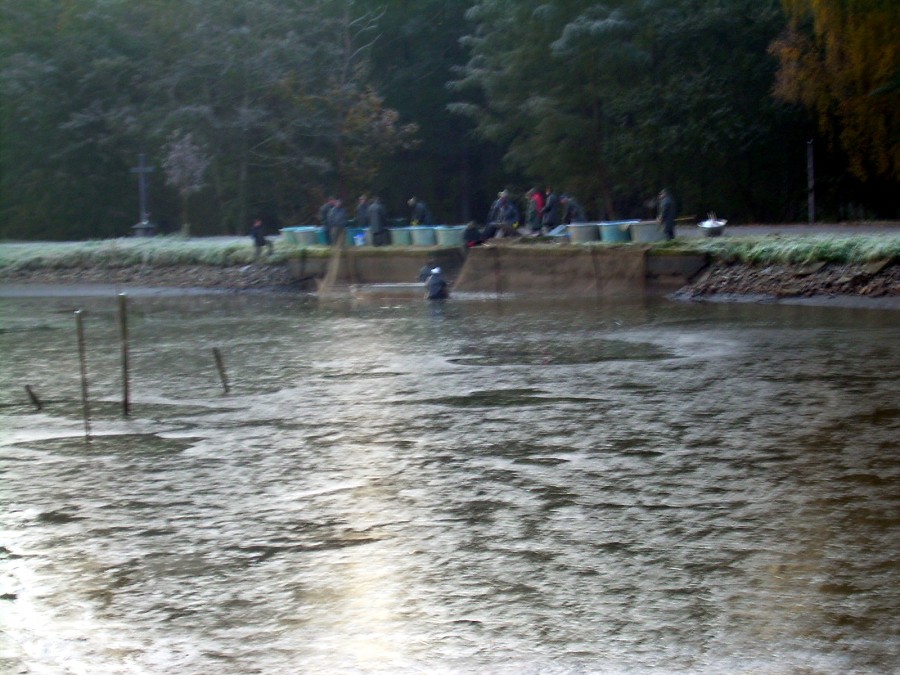 Voborsky 22.10.2011.