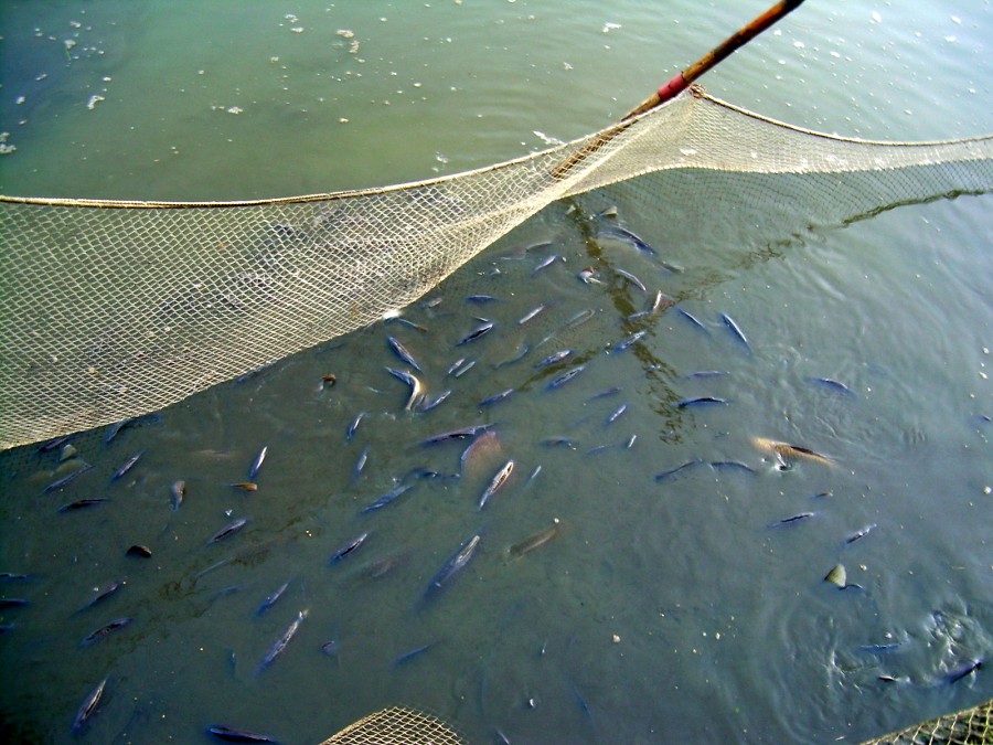 Voborsky 22.10.2011.