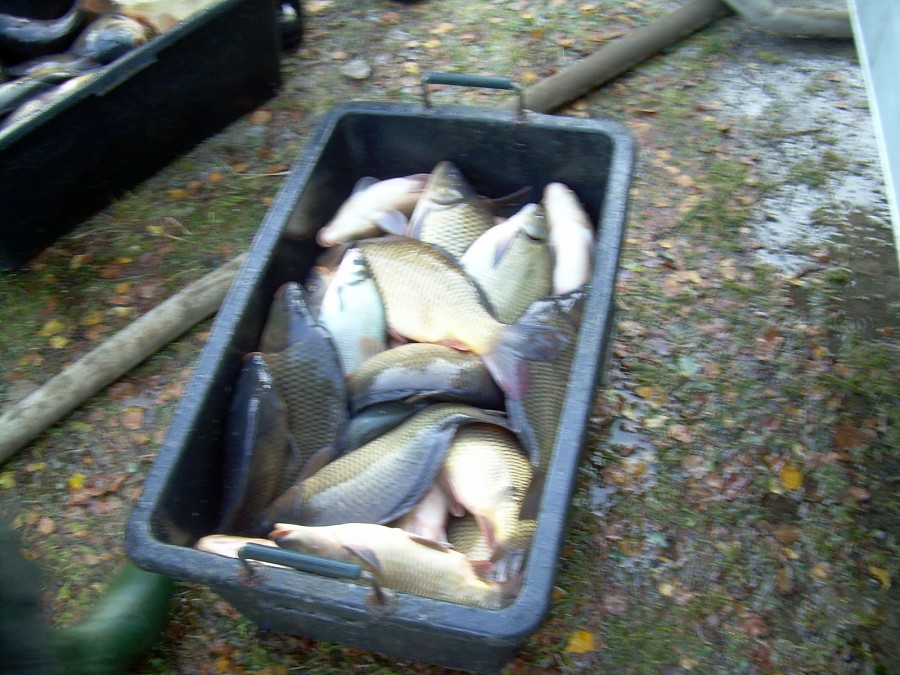 Voborsky 22.10.2011.