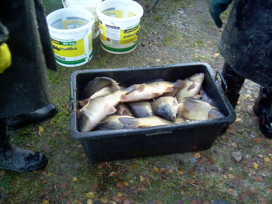 Voborsky 22.10.2011.