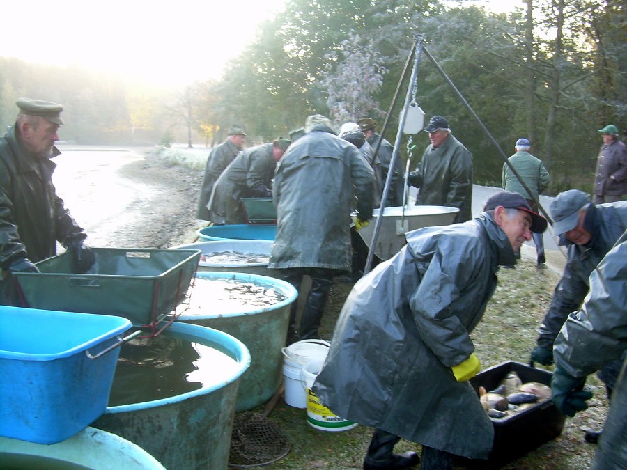 Voborsky 22.10.2011.