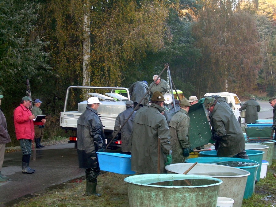 Voborsky 22.10.2011.