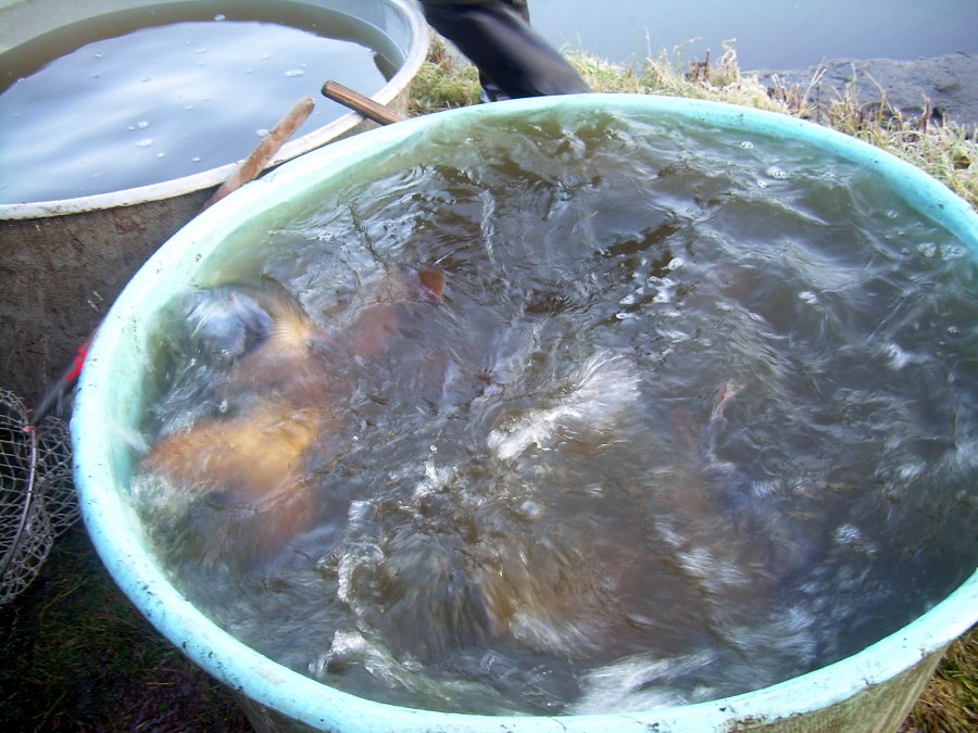 Voborsky 22.10.2011.