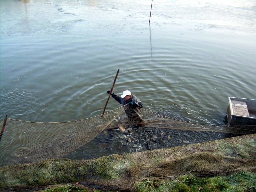 Voborsky 22.10.2011.