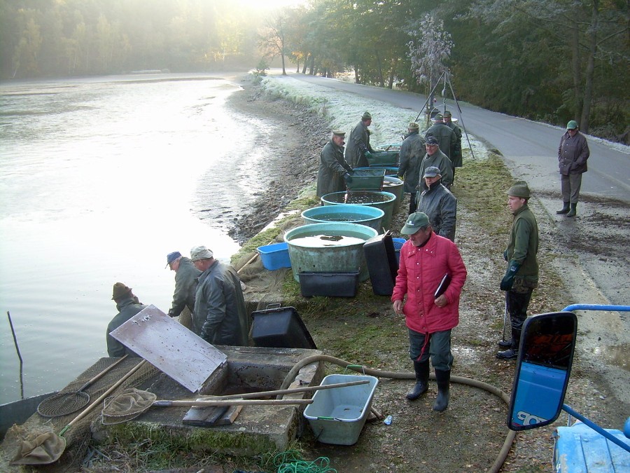 Voborsky 22.10.2011.