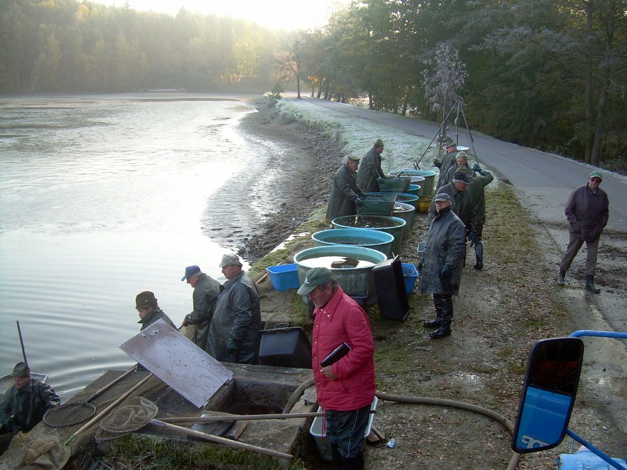 Voborsky 22.10.2011.