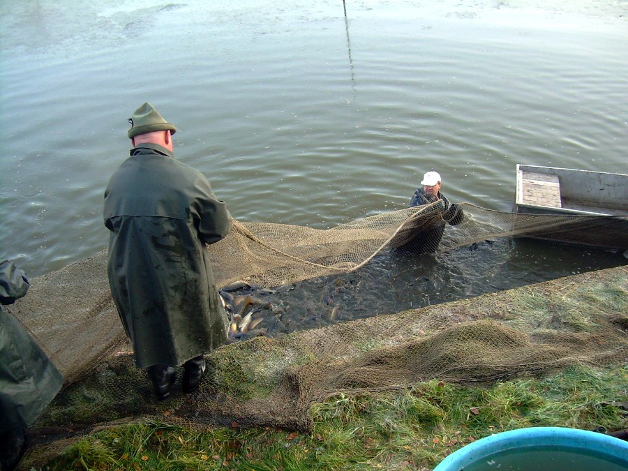 Voborsky 22.10.2011.