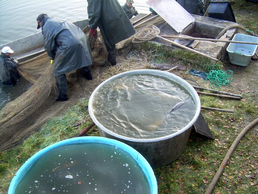 Voborsky 22.10.2011.