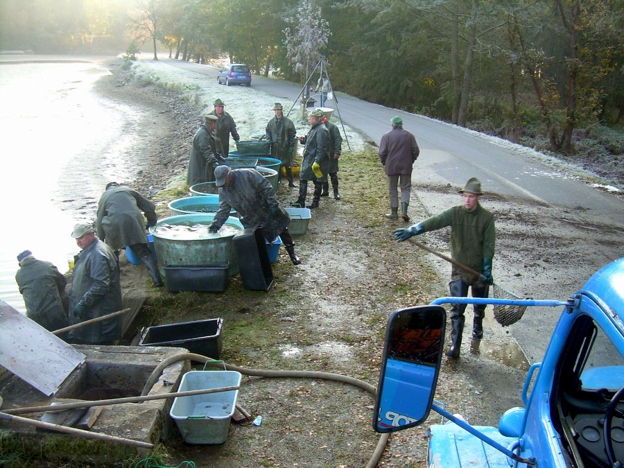 Voborsky 22.10.2011.