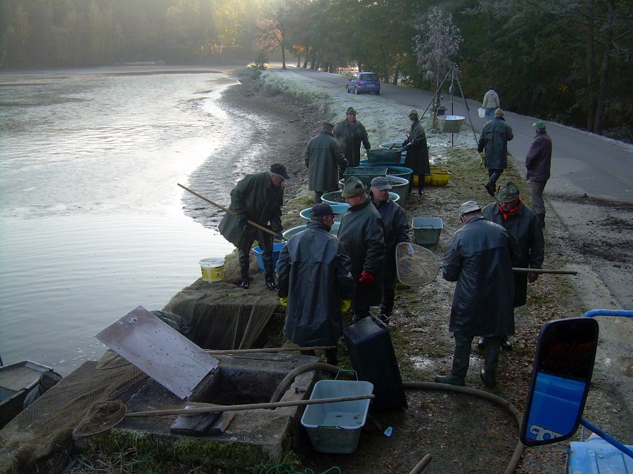 Voborsky 22.10.2011.