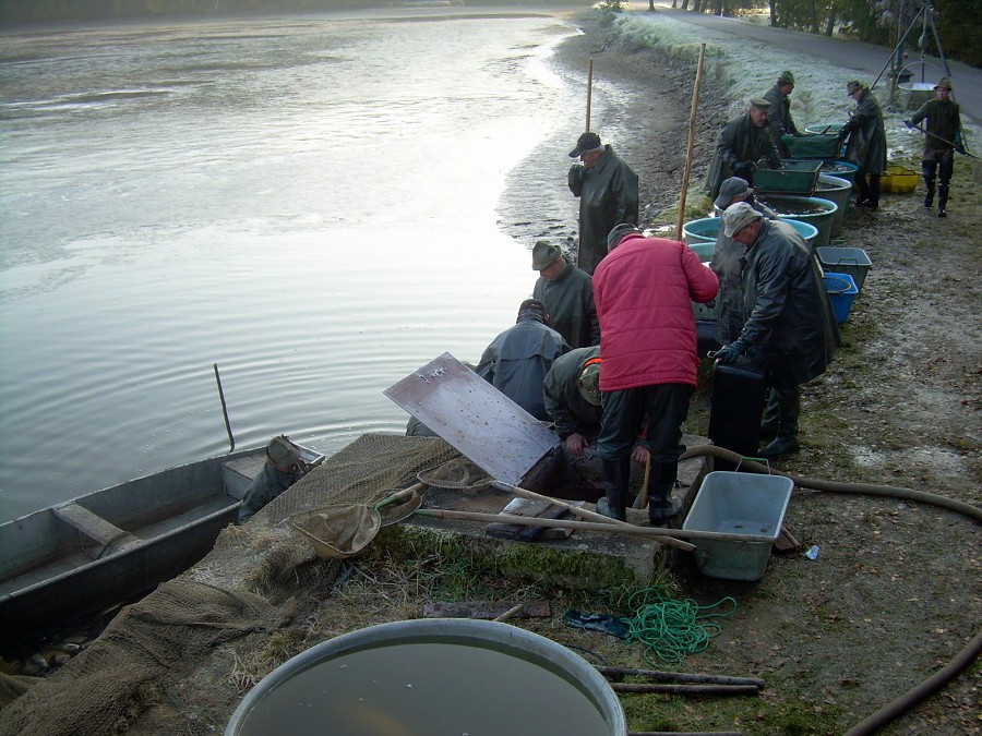 Voborsky 22.10.2011.