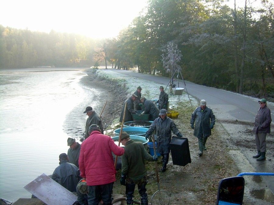 Voborsky 22.10.2011.