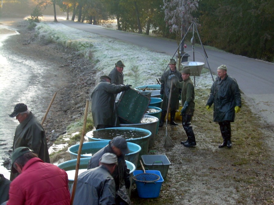 Voborsky 22.10.2011.