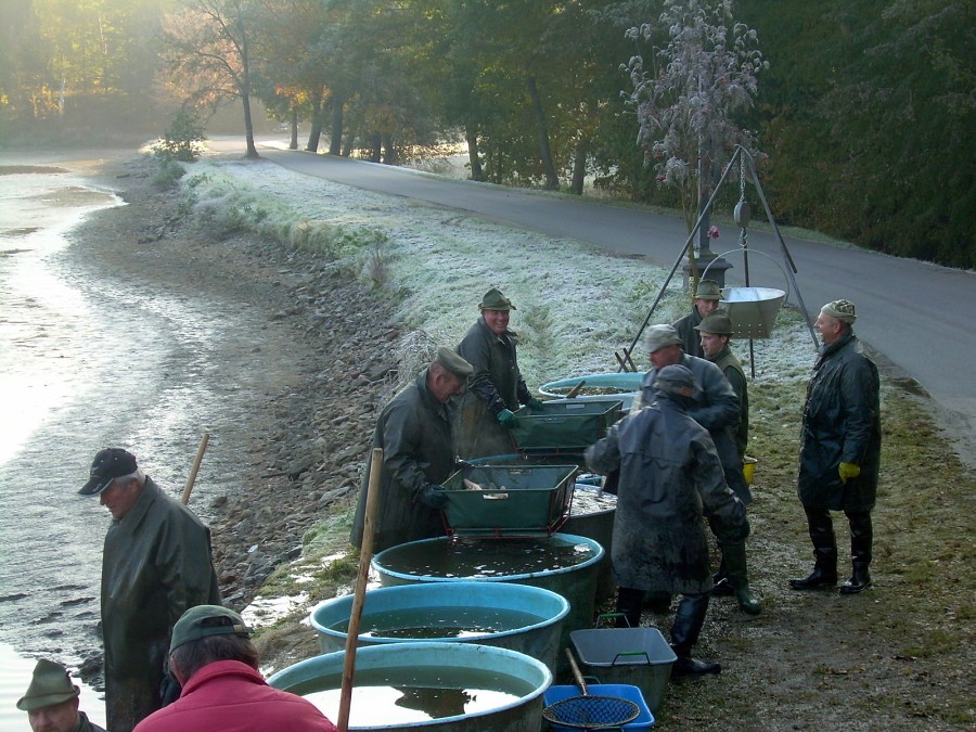 Voborsky 22.10.2011.