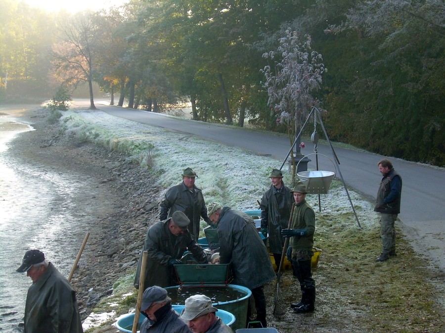 Voborsky 22.10.2011.