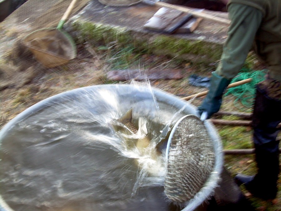 Voborsky 22.10.2011.