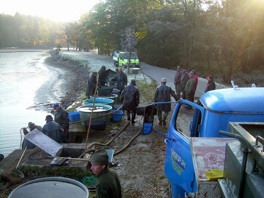 Voborsky 22.10.2011.