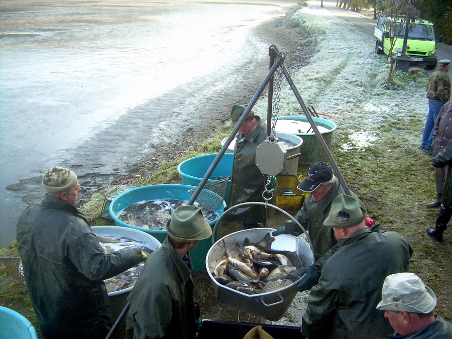 Voborsky 22.10.2011.