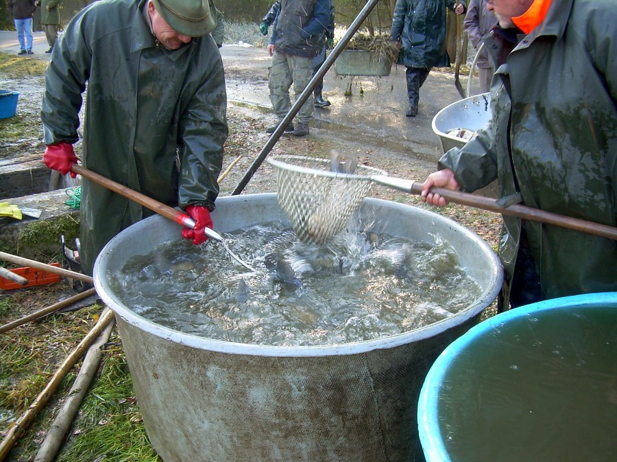 Voborsky 22.10.2011.