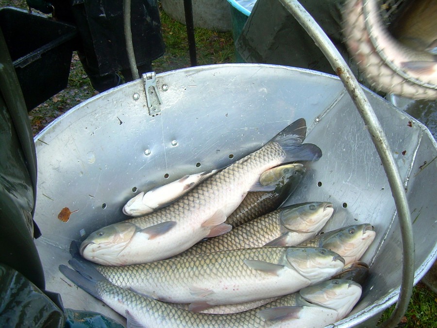 Voborsky 22.10.2011.