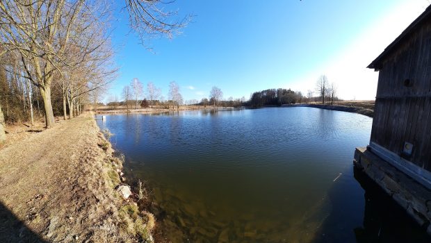 V zimním období došlo k úpravě břehů u chovného rybníka Nový.